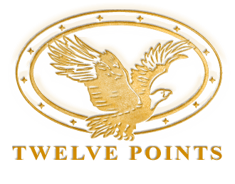 Twelve Points Wealth Management logo